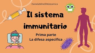 Il sistema immunitario  Prima parte  La difesa aspecifica [upl. by Eicyac]