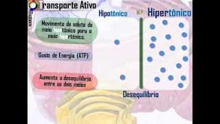 Transporte Ativo e Passivo [upl. by Sauveur]