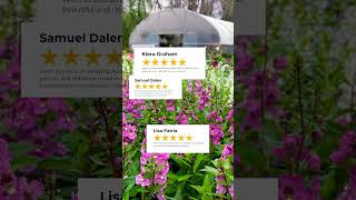 🌟 Thanks for the love 🙌 Drop a review on our Google page today EarthWorksGardens 5starreview [upl. by Charline]