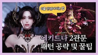 에키드나 하드 2관문 패턴 공략 0줄 패턴 딜각 꿀팁 로스트아크 에키드나 브레이커 소울이터 공략 로스트아크 패턴공략 [upl. by Postman]