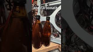 Turning My Garage Into a Mini Brewery [upl. by Ataynik]