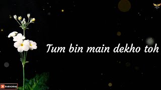 Tum Todo Na Dil Mera Lyrics Female Version  Tum Bin Main Dekho Toh Song  tumtodona lyrics songs [upl. by Trilbee]