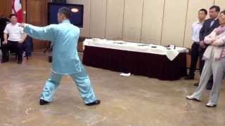 Chen Taijiquan  19 Step Form at the Chinese Embassy with Liu Quan Jun [upl. by Rodd866]