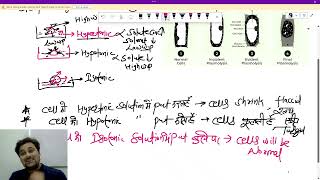 PLASMOLYSIS AND ITS STAGE EXPLAINED IN HINDI PLANT PHYSIOLOGY CLASS 11TH BIOLOGY [upl. by Pachton871]