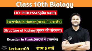 मानव amp पादपों मे उत्सर्जन  Structure of Kidney  Class 10 Life Process  NCERT [upl. by Naerad]