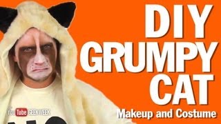 DIY Grumpy Cat Makeup and Costume HowTo [upl. by Tollman]