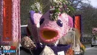 Bloemencorso 2013 [upl. by Lemmuela]