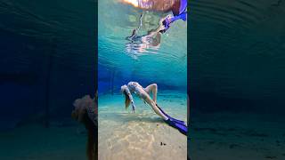 🩵✨🫧☁️ underwater freediver freediving [upl. by Ettesil]