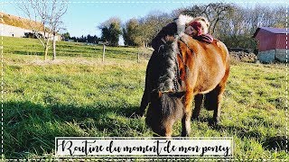 ROUTINE DE MON PETIT PONEY 😍 [upl. by Htiel]