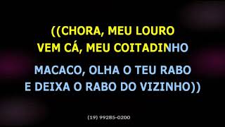 Grupo Cordiona • Macaco já foi gente [upl. by Trev]