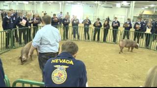 About FFA Career Development Events  National FFA Convention amp Expo [upl. by Enirhtac]