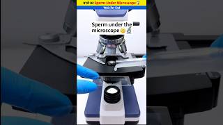 बच्चे का Sperm Under Microscope😱 shorts youtubeshorts shortvideos viral [upl. by Pattin]