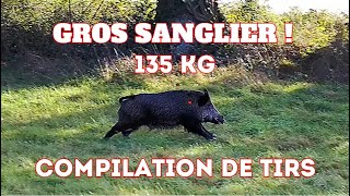 CHASSE AUX SANGLIERS  COMPILATION DE TIRS  2023  Belgique [upl. by Yeliak]