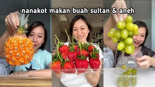 nanakoot makan buah sultan 🍍🍓🥭🥝🍉🍈 [upl. by Tema]