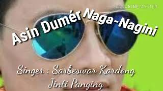 NAGA NAGINISARBESWAR KARDONGZINTI PANGGINGSARBESWAR KARDONG OFFICIAL [upl. by Spindell716]