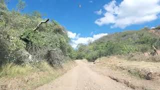 H Galeana Acatlan de Osorio Puebla Mexico se adorna con flores de cazahuate oriundo de la región [upl. by Soutor]