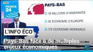 PaysBas  un petit pays dans la cour des grands face à de multiples enjeux économiques [upl. by Emad]