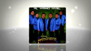 CONJUNTO PRIMAVERA MIX [upl. by Ardnasella]