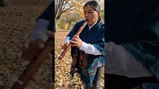 IMAGINE quenacho quena livemusic panflute nativeflutes zampoña [upl. by Tate127]