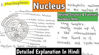 Nucleus  Structure amp Functions  Nucleolus  Cell Biology Notes bscnotes biology [upl. by Atnauqal53]