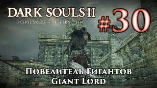 Повелитель Гигантов Dark Souls 2  Дарк Соулс 2  тактика как убить как победить босса ДС2 [upl. by Catima]