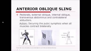 Slings amp Sacroiliac Joint Pain by Ismail Saracoglu University of Nottingham [upl. by Eskill]