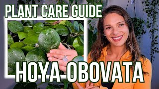 Tipsy Hoya Obovata Care Tips  Houseplant Care Guide [upl. by Netsreik]