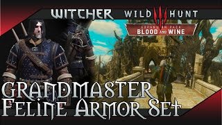 The Witcher 3 Blood and Wine  Grandmaster Feline Cat School Gear Set Location [upl. by Jen]