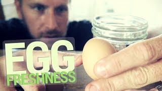 Egg Freshness Test [upl. by Arikihs]