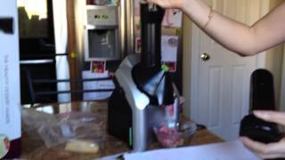 Yonanas Frozen Treat Maker [upl. by Jaan]