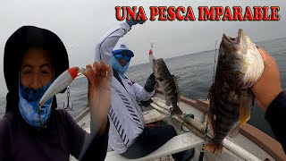 ESTA PESCA DE CABRILLA FUE IMPARABLE  Tablita Fishing [upl. by Nipahc994]