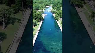 Visit Barton Springs Pool Austin Texas [upl. by Cesaria]