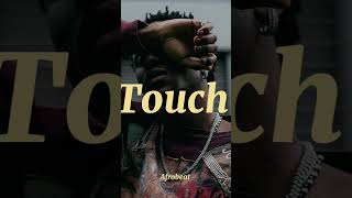 Victony Type Beat 2024 X Omah Lay Type Beat X Lojay  quotTOUCHquot [upl. by Ahsirak833]