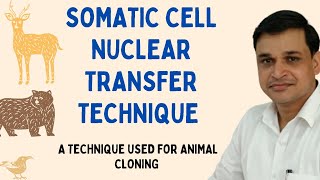 Somatic Cell Nuclear Transfer Technique of animal cloning  SCNT [upl. by Jessie]