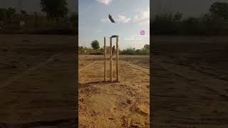 cricket Kelly subscribe karna [upl. by Afatsum]