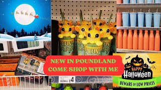 NEW IN POUNDLAND  HOLIDAYS 2024 🎄🎃  KITCHENWARE  QUALITY STREET COFFEES  COME SHOP WITH ME [upl. by Eseilanna]