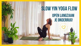 Slow yin yoga flow  stretch je onderrug  Nederlandse les [upl. by Rockafellow590]