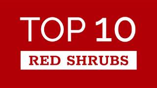 Top Ten Red Shrubs [upl. by Lasala45]