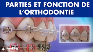 Appareil dentaire – Parties et fonction de l’orthodontie © [upl. by Adigirb]