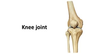 Knee joint Prof Dr Md Ashfaqur Rahman [upl. by Hayse]