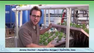 Stems amp Scales  The Basics of HydroCycle Aquaponics [upl. by Ahsienroc]