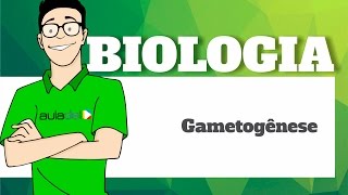 Biologia  Embriologia  Gametogênese [upl. by Eisso]