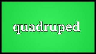 Quadruped Meaning [upl. by Liza461]