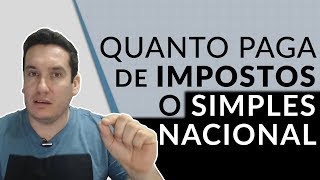 QUANTO PAGA DE IMPOSTOS UMA EMPRESA SIMPLES NACIONAL ME [upl. by Sall298]