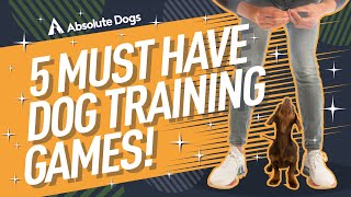 Our ALLTIME Top 5 Dog Training Games ALL Dog Owners Need Today [upl. by Eseryt]