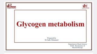 شرح المحاضرة التالته بايوكمستيرى glycogen metabolism [upl. by Irwin590]