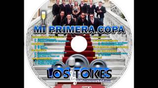 LOS TOKES 2016 03 Mix Bukis [upl. by Mirella81]