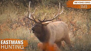 Calling in Two Bulls at Once  Bow hunting Elk with Grizzlies [upl. by Ttoile]