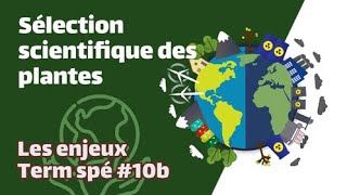 Sélection scientifique des plantes cultivées  SVT  ENJEUX Term spé 10b  Mathrix [upl. by Barclay]