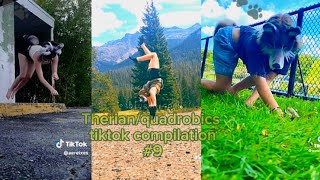 Therian TikTok compilation 9 [upl. by Aney]